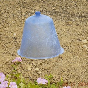 Lot de 10 Pièces Cloche pour Plantes de Jardin, 19CM x 16CM Couverture Lot de 10 Pièces Cloche pour Plantes de Jardin, 19CM x 16CM Couverture