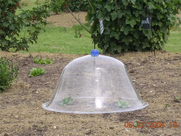 Lot De 10 Dômes De Protection Pour Plantes - Cloches De Jardin 18x18x16 Cm, En PP Transparent, Réglables, Contre Escargots Et Froid Cloche Humidité Réglable Jardinage