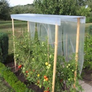 Housse De Protection Pour Tomates 0,8 X 5 M - Non Tissé Respirant Anti-Gel