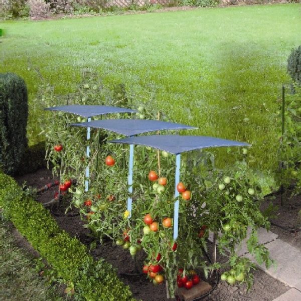 Toit à tomates « parapluie » La boutique du jardinage Toit à tomates « parapluie » La boutique du jardinage