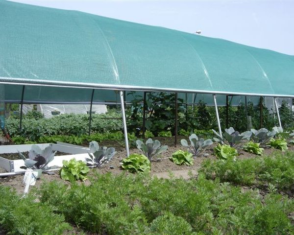 Filet D'ombrage 30% Blanc En Polyéthylène - Pour Serre, Jardin, Terrasse, Protection UV, œillets Pour Fixation Facile - 3